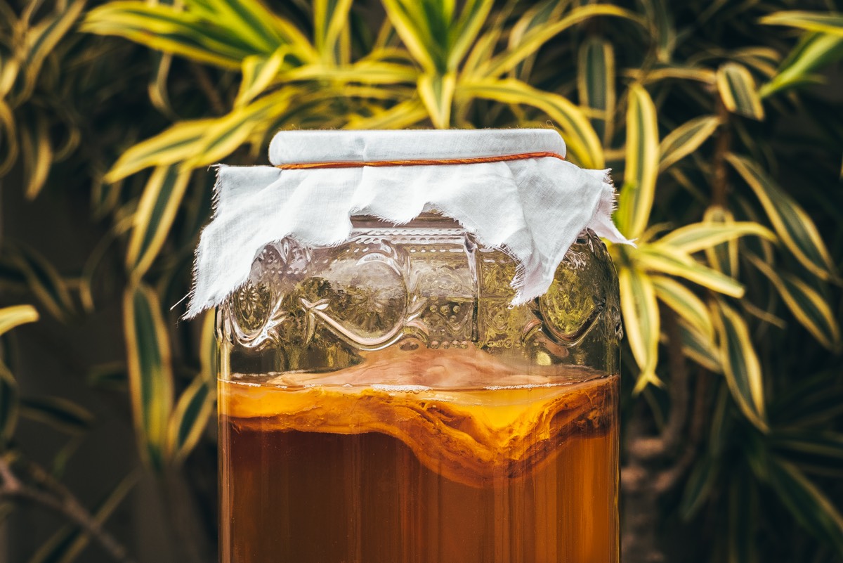 bảo quản kombucha 